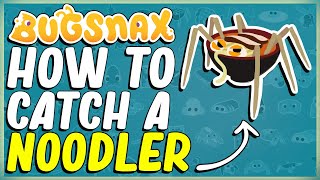 HOW TO CATCH A NOODLER IN BUGSNAX  FLOOFTY CHANGES EVERYTHING  USE YOUR NOODLE  BOILING BAY [upl. by Norehc]