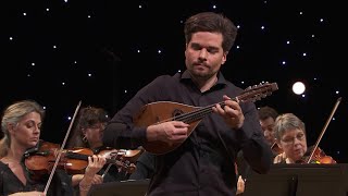 Vivaldi  Concerto pour mandoline en ut Majeur P 134 RV 425 Julien Martineau  Rinaldo Alessandr [upl. by Nette]