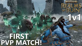 PVP 1v1 Nighthaunt vs Tzeentch  Warhammer Age of Sigmar  Realms of Ruin [upl. by Felten233]