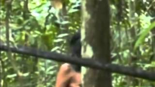 Rare footage of an isolated indian tribe in the Amazon [upl. by Aihsyla]