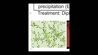 Gram Positive Bacilli NonSpore formingCdiphtheriae amp Listeria Monocytogenes [upl. by Carothers]