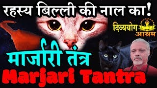 Marjari tantra तंत्र रक्षा व सुख शांती के लिये बिल्ली की नाल स्थापित करे [upl. by Humfrey]