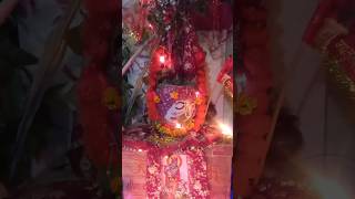 TulsiVivah2024 shortsfeedsyoutube Tulsipujabhajankartikmaastulsimatatrending shortviralvideo [upl. by Cochard]