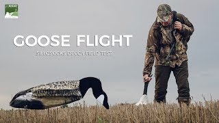 GOOSE FLIGHT  SILLOSOCKS DECOYS FIELD TEST [upl. by Eeliab]