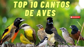 TOP 10 CANTOS DE AVES BRASILEIRAS [upl. by Aedni]