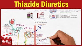 Pharmacology CVS 8 Diuretics  Thiazide Diuretics  Chlorothiazide Hydrochlorothiazide [upl. by Ahsirtal367]