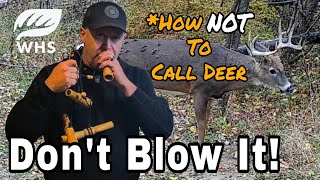 1 Rule For Calling Deer [upl. by Oirogerg393]