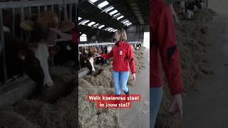 Alle soorten en maten koeien bij biologisch Melkveebedrijf Oosterhof [upl. by Milena]