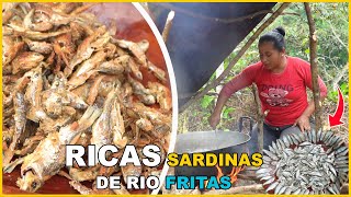 Ricas Sardinas de Rio Fritos al estilo de Doña Viky [upl. by Anairad]