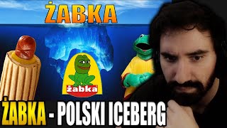 ŻABKA  POLSKI ICEBERG CZYLI NIEZNANE CIEKAWOSTKI O ŻABCE 😱  Oglądam TelewizjazKartonu [upl. by Helali442]