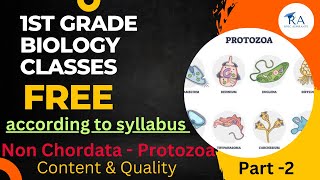 What Are The Classification Of Protozoa Mastigophora ClassFlagellata ampsarcodina Rhizopodaclass [upl. by Cida316]