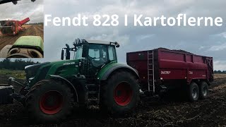 Så Kommer Kartoflerne Op  KLF Dansk Landbrug [upl. by Judah922]