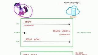 TCP Sequence and Acknowledgment Numbers [upl. by Hilliary869]