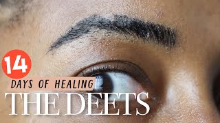 Microbladed Eyebrows Healing Process  The First 2 Weeks [upl. by Dituri]