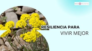 Resiliencia La CLAVE para vivir mejor y superar adversidades [upl. by Nahta189]