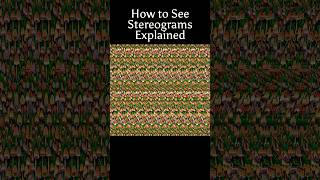 How to See Stereograms opticalillusions tips stereogram magiceye mushroom cute 3d [upl. by Esinek]