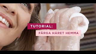 Färga håret hemma med Excellence  Tutorial  L’Oréal Paris [upl. by Aney575]