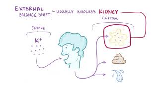 Hypokalemia causes symptoms diagnosis treatment pathology [upl. by Naghem]