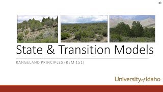 State and Transition Models [upl. by Dryden]