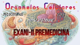 EXANIII Premedicina  Organelos Célulares 14 [upl. by Oluap]