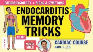 Endocarditis Pathophysiology signs and symptoms for nursing students NCLEX review [upl. by Killion]