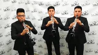 Arriba Pichátaro  Clarinetes de Banda Tierra Mojada 🎶 [upl. by Karina489]