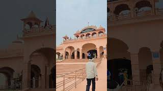 gogamedi shorts viralreels reels rajasthan muneshrangavlogs [upl. by Heydon237]