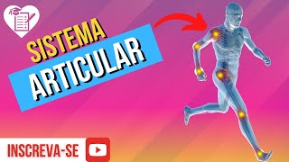 SISTEMA ARTICULAR Resumo com Tudo o que Você Precisa [upl. by Atik]