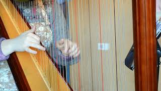 Watermark Harp Solo Enya amp Nicky Ryan Sam Hickman Singing Harpist [upl. by Mchugh]