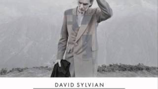 David Sylvian  Wheres Your Gravity [upl. by Ecirtaeb]