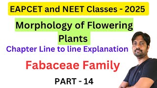 Fabaceae Family  Morphology of Flowering Plants Chapter Line by line Explanation  Part 14 [upl. by Nyvets597]