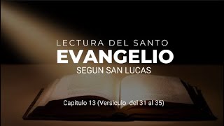 Evangelio 31 Octubre 2024 San Lucas Capitulo 13 Versículos del 31 al 35 [upl. by Annaeoj775]