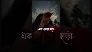 New Song of Sheikh Sadi  SAJNA [upl. by Lorraine]