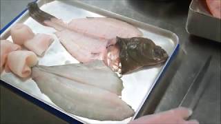 Plaice  How to Fillet [upl. by Herm]