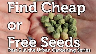 Easy and Free Seeds to Start your Garden off Right [upl. by Soisinoid]