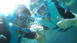 Snorkeling at Discovery Cove  26th May 2022 [upl. by Adnima]