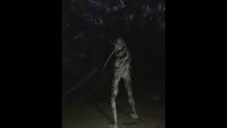 Unnerving images with unnerving music 9 [upl. by Ahsiram]