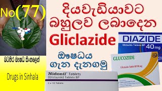 Gliclazide in sinhala  ග්ලික්ලසයිඩ් ගැන දැනගමු  Gliclazide  Diazide  Glucozide  දියවැඩියාව [upl. by Elleron]