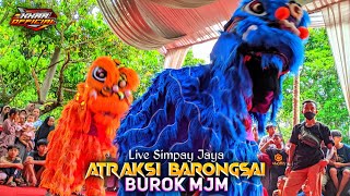 Burok MJM Atraksi Barongsai Song Toang Tambi Live Simpay Jaya 160424 [upl. by Neel]