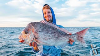 The Secret to Catching Snapper A Guide to Snapper Fishing [upl. by Kieryt]