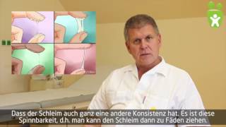 FERTILITÄT Die Bestimmung des Eisprungs [upl. by Libove]