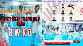 111 th Exam White Belt amp Yellow Belt Exam Aftabnagar Club karatedo wadokaitraining [upl. by Zurciram]