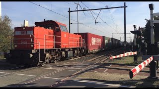 DB Cargo Diesel locomotive 6469 with Wetron Shuttle Container Train at Blerick NL 🇳🇱 November 52024 [upl. by Scotti]