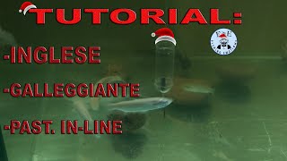 TUTORIAL MONTATURA INGLESE CON GALLEGGIANTE amp PASTURATORE INLINE PASSO PASSO A MODO MIO [upl. by Sykleb]