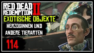 Exotische Objekte Herzoginnen und andere Tierarten ★ RED DEAD REDEMPTION 2 🐎 ★ 100  PART 114 [upl. by Alleunam797]