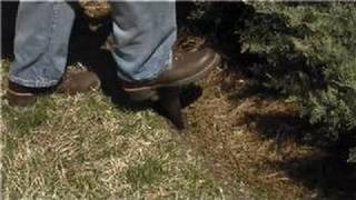 Landscaping Tips  How to Use a Spade for Landscape Edging [upl. by Ocisnarf]