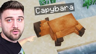 Minecraft MODAT cu zaSami Revine [upl. by Orbadiah]