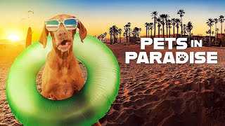 Pets In Paradise  Season 02  Episode 04  Hell on Wheels [upl. by Sedgewick]