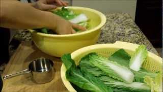 Korean Instant Kimchi made with Baby Napa Cabbage 풋배추 겉절이 Vegan amp Gluten Free Recipe [upl. by Aldwon]