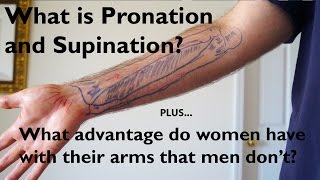 What is Pronation and Supination of the Forearm [upl. by Asselim]